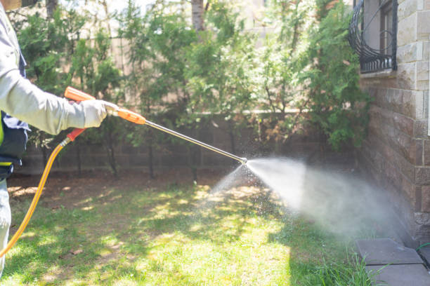 Best Best Pest Control Companies  in The Colony, TX